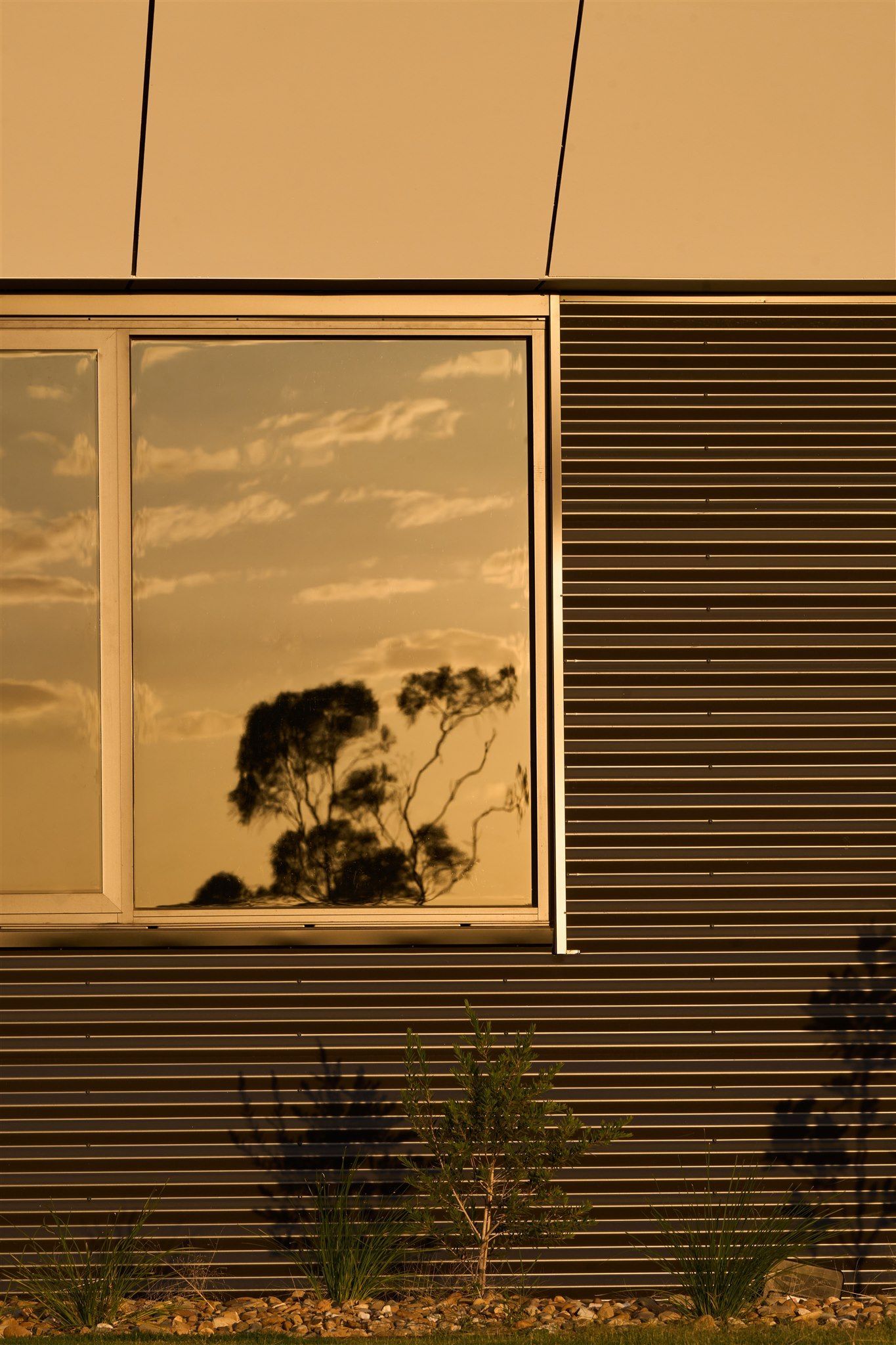 Echuca Powercor — photo 3